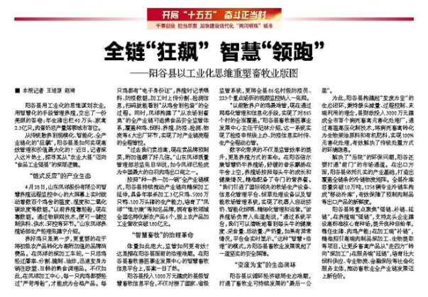 摩登7-造梦无限厂牌,开启娱乐新设想