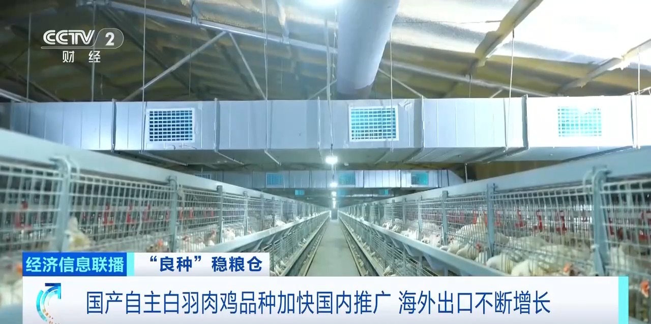 摩登7-造梦无限厂牌,开启娱乐新设想