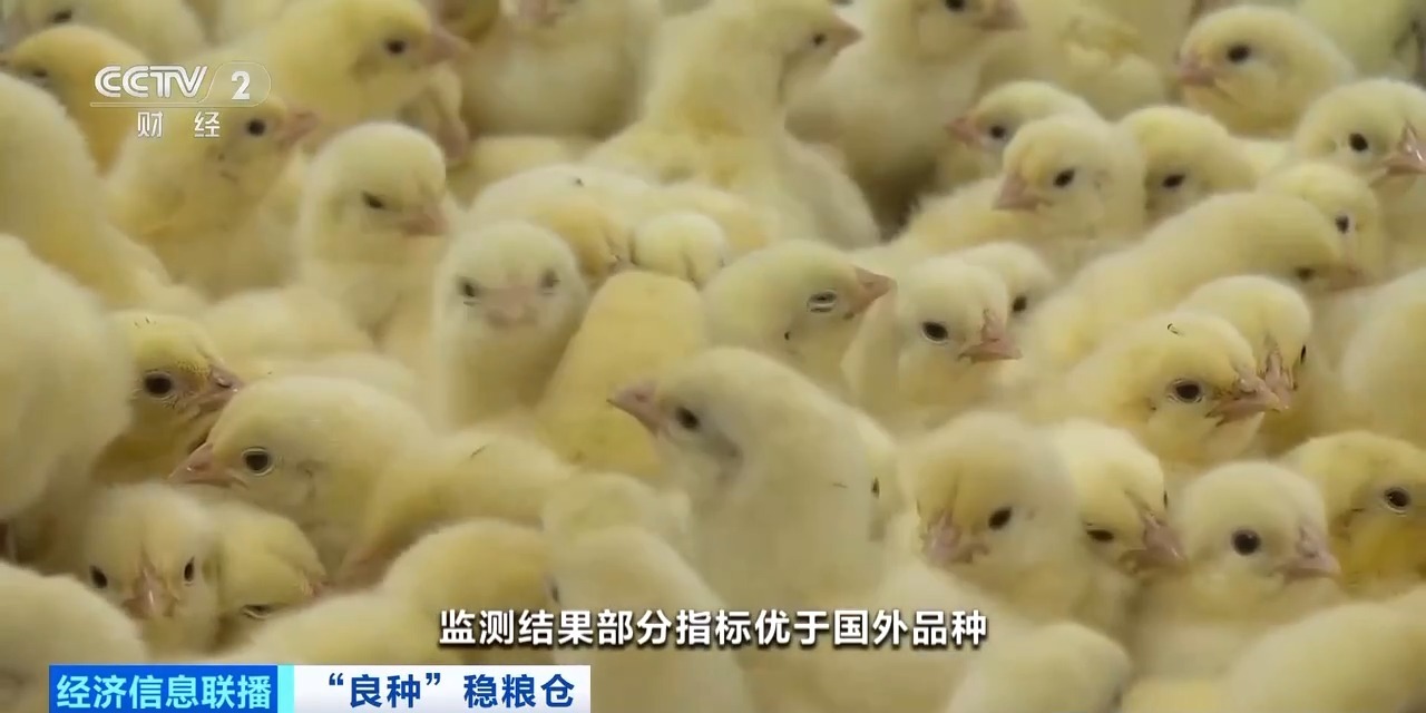 摩登7-造梦无限厂牌,开启娱乐新设想