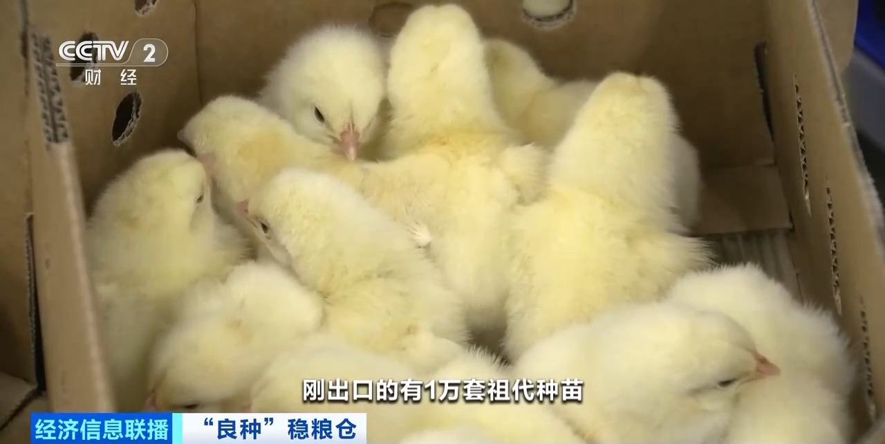 摩登7-造梦无限厂牌,开启娱乐新设想
